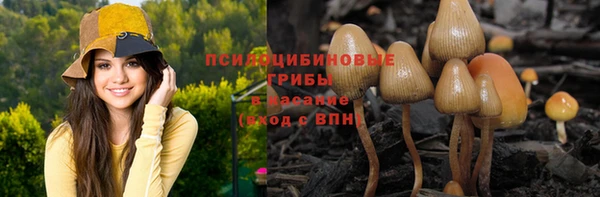 круглые Армянск