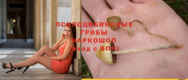круглые Армянск