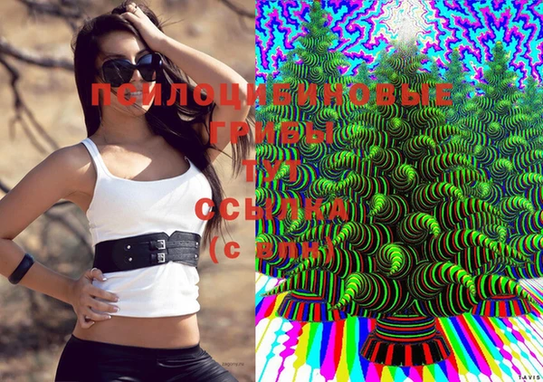 круглые Армянск