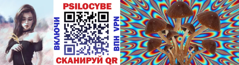 Псилоцибиновые грибы прущие грибы  купить наркотики цена  МЕГА зеркало  Карабаш 